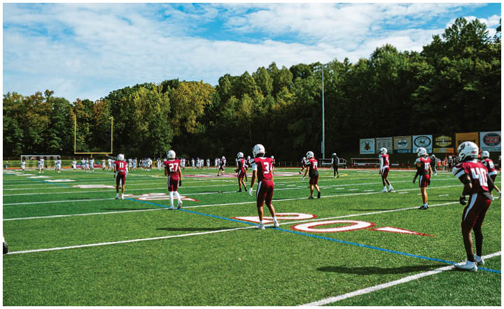 A football player wearing a blue and red jersey. Description generated by AI