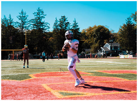 A football player wearing a blue and red jersey. Description generated by AI