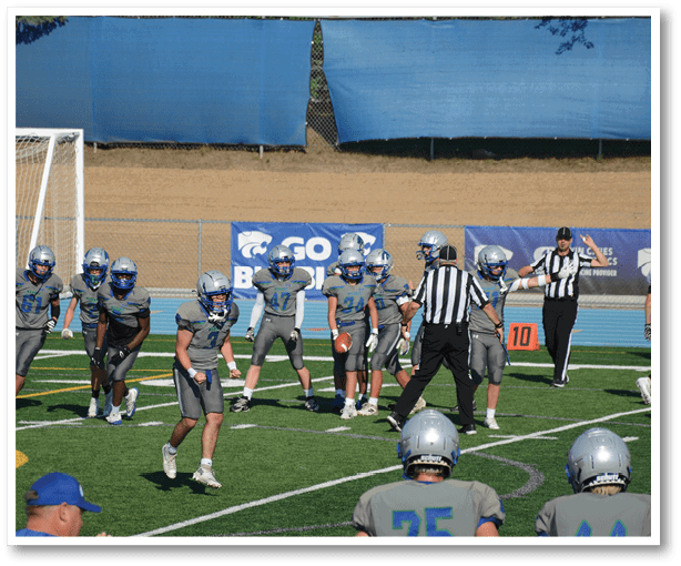 A football player is kicking a football on a field. Description generated by AI