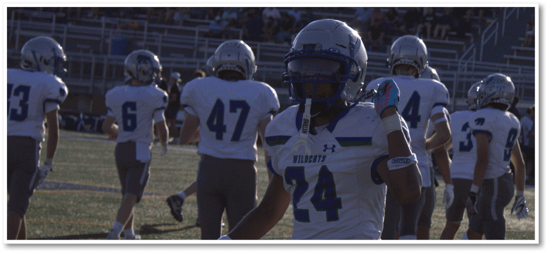 A football player running on the field. Description generated by AI
