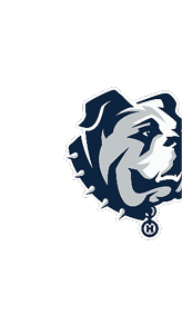 A blue and white logo for Valor. Description generated by AI