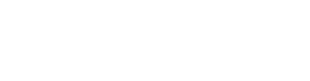 OUTSTANDING PERFORMERS