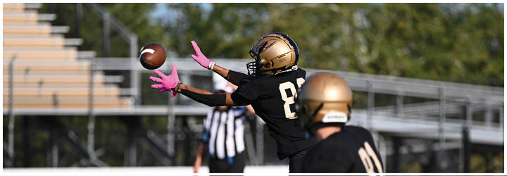 A group of football players on a field. Description generated by AI
