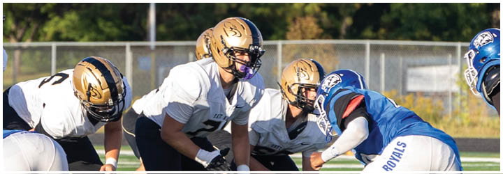 A group of football players on a field. Description generated by AI