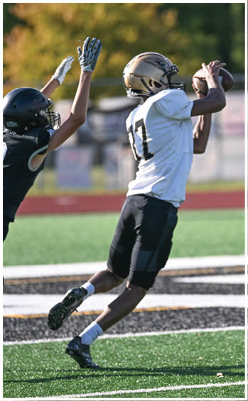 A football player running on the field. Description generated by AI