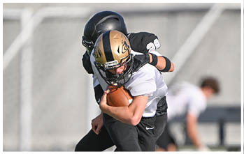A football player running on the field. Description generated by AI