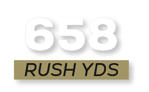 RUSH YDS,65