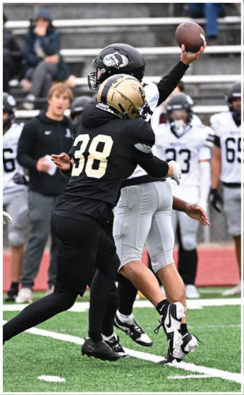 A football player running on the field. Description generated by AI