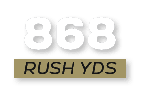 RUSH YDS,86