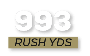 RUSH YDS,99