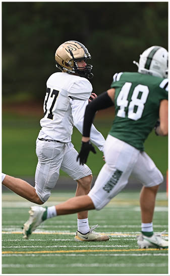 A football player running on the field. Description generated by AI