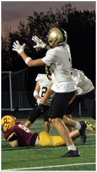 A football player running on the field. Description generated by AI