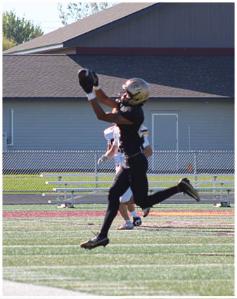 A football player running on the field. Description generated by AI