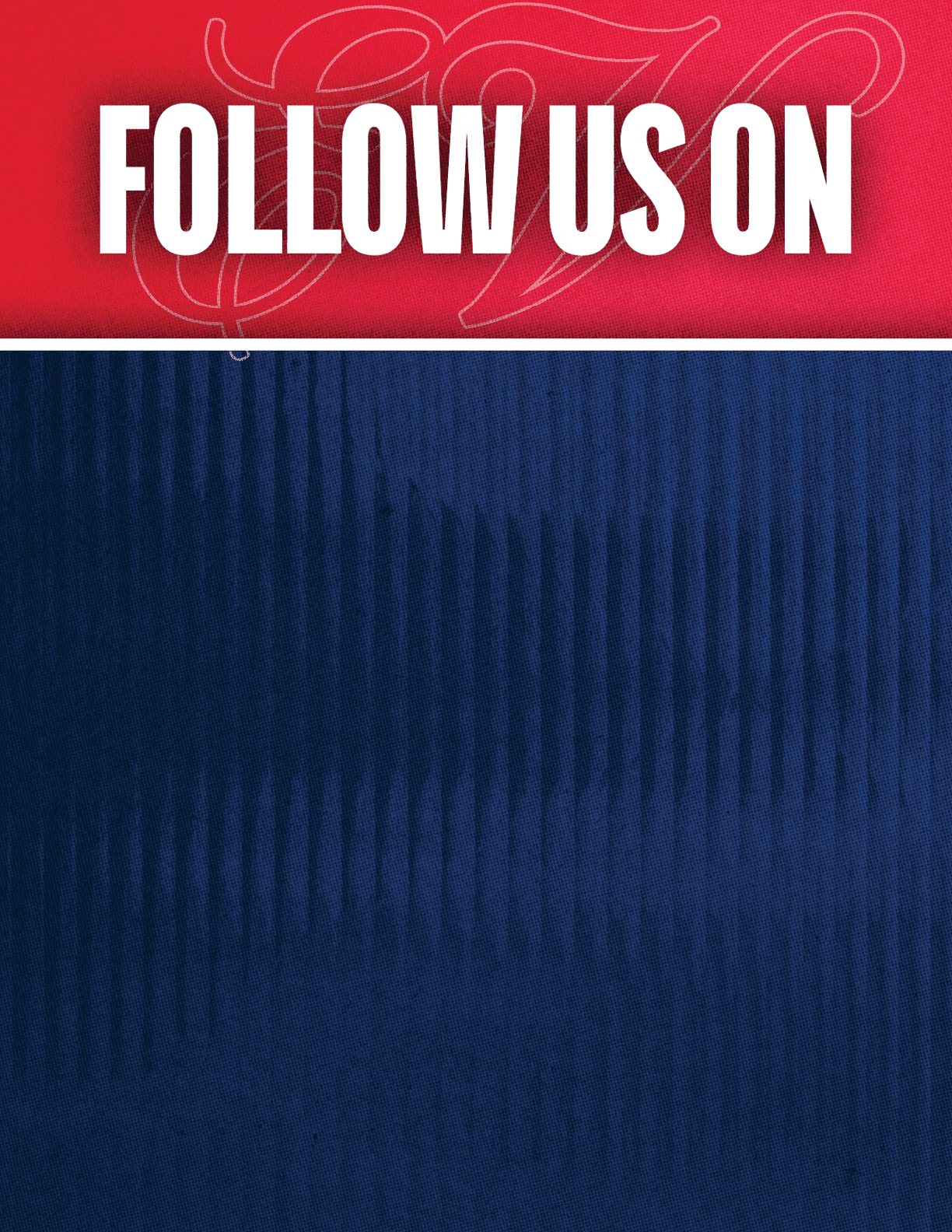 A red and blue striped fabric. Description generated by AI