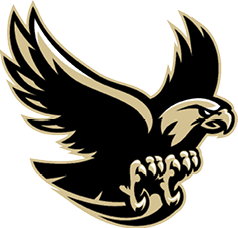 A stylized black and beige eagle with outstretched wings and sharp talons ready to grasp. Description generated by AI