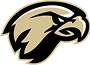 A stylized logo of a fierce hawk head in black and beige with sharp lines and an intense expression. Description generated by AI