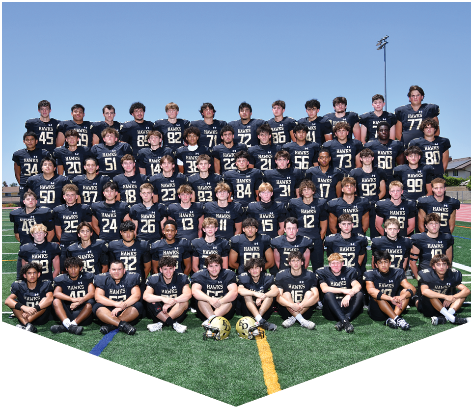 A group of people wearing dark sports jerseys with the word “HAWKS" and numbers posed closely together for a team photo. Description generated by AI