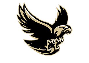 A stylized black and beige eagle with outstretched wings and sharp talons ready to grasp. Description generated by AI