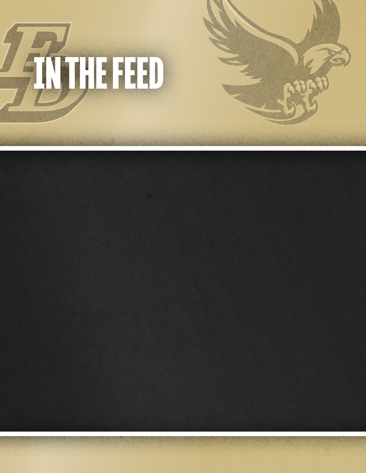 A beige and black graphic with the text “IN THE FEED" alongside stylized logos of a letter "P" and an eagle. Description generated by AI
