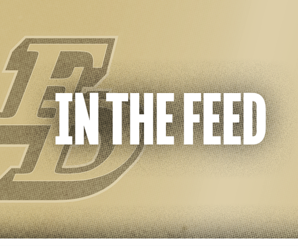 The text “IN THE FEED" is displayed in bold white letters over a beige background with a faint stylized "FD" logo behind it. Description generated by AI