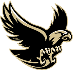 A stylized black and beige eagle with outstretched wings and sharp talons ready to grasp. Description generated by AI