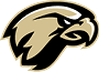 A stylized logo of a fierce hawk head in black and beige with sharp lines and an intense expression. Description generated by AI