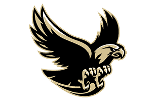 A stylized black and beige eagle with outstretched wings and sharp talons ready to grasp. Description generated by AI