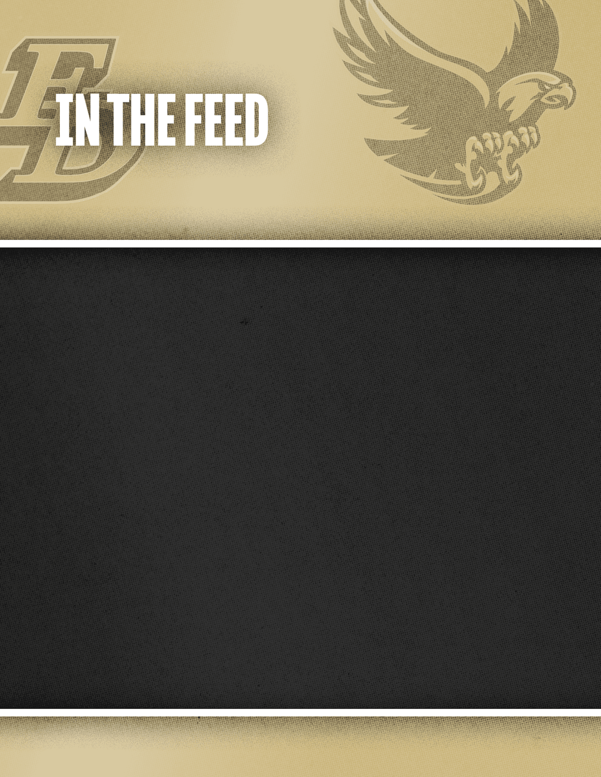 A beige and black graphic with the text “IN THE FEED" alongside stylized logos of a letter "P" and an eagle. Description generated by AI
