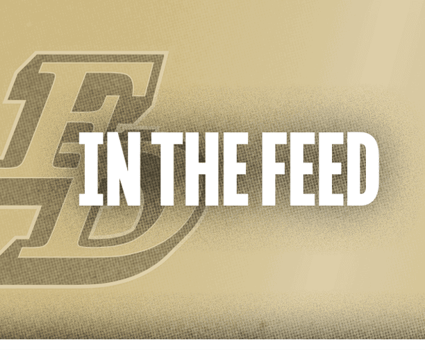 The text “IN THE FEED" is displayed in bold white letters over a beige background with a faint stylized "FD" logo behind it. Description generated by AI