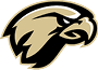 A stylized logo of a fierce hawk head in black and beige with sharp lines and an intense expression. Description generated by AI