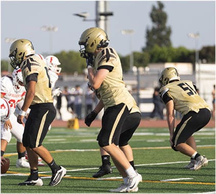 A group of football players on a field. Description generated by AI