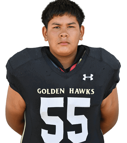 Person with curly hair wearing a black football jersey with the word “HAWKS" and the number 38 standing against a gray background. Description generated by AI
