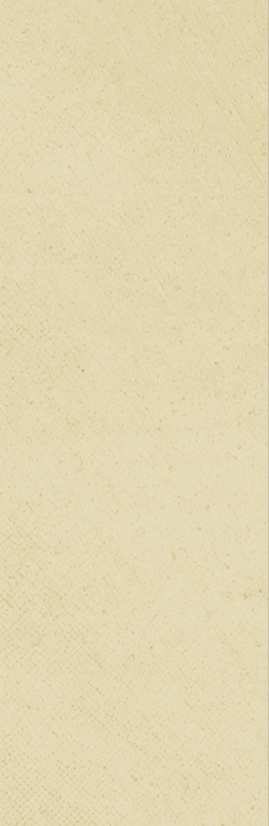 A red background with a white stripe. Description generated by AI