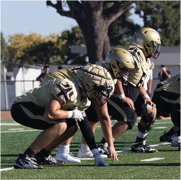 A group of football players celebrating a touchdown. Description generated by AI