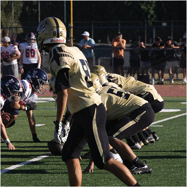 A group of football players celebrating a touchdown. Description generated by AI