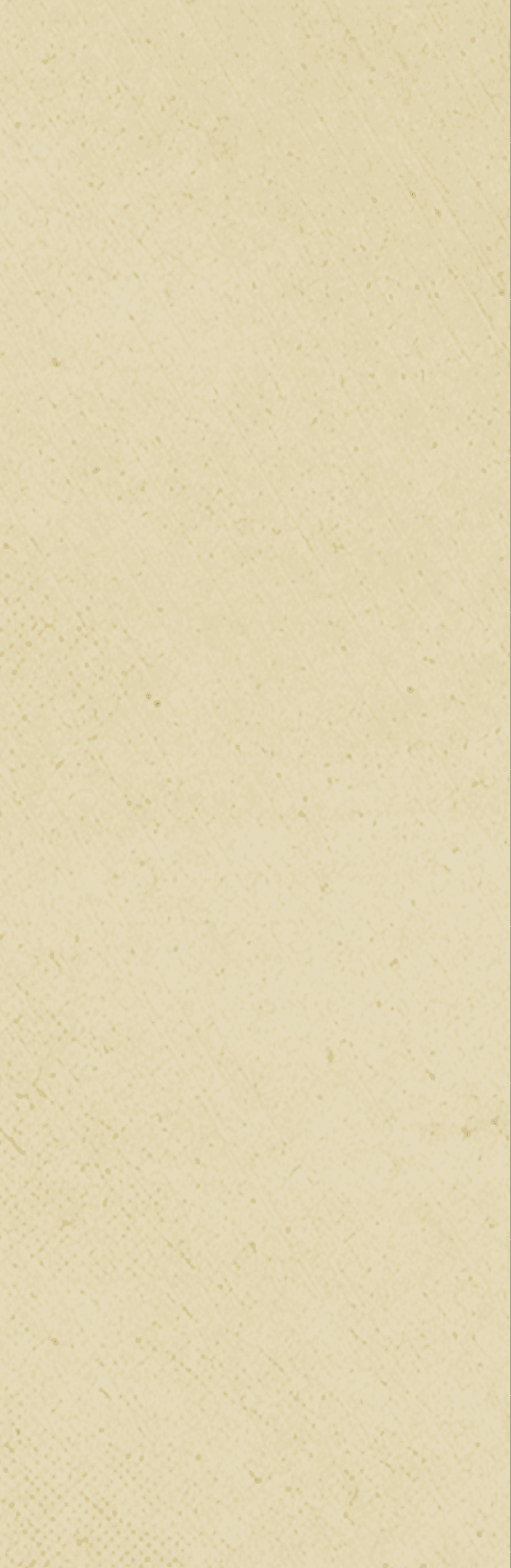 A red background with a white stripe. Description generated by AI
