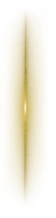 A pink circle with a white outline. Description generated by AI