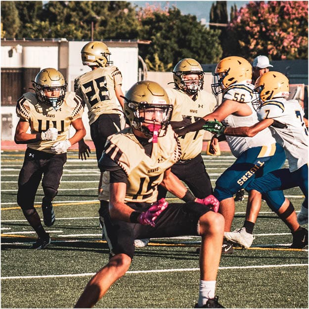 A group of football players celebrating a touchdown. Description generated by AI