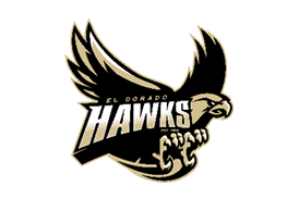 A red and black bird with a yellow beak. Description generated by AI