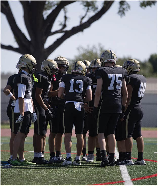 A group of football players on a field. Description generated by AI