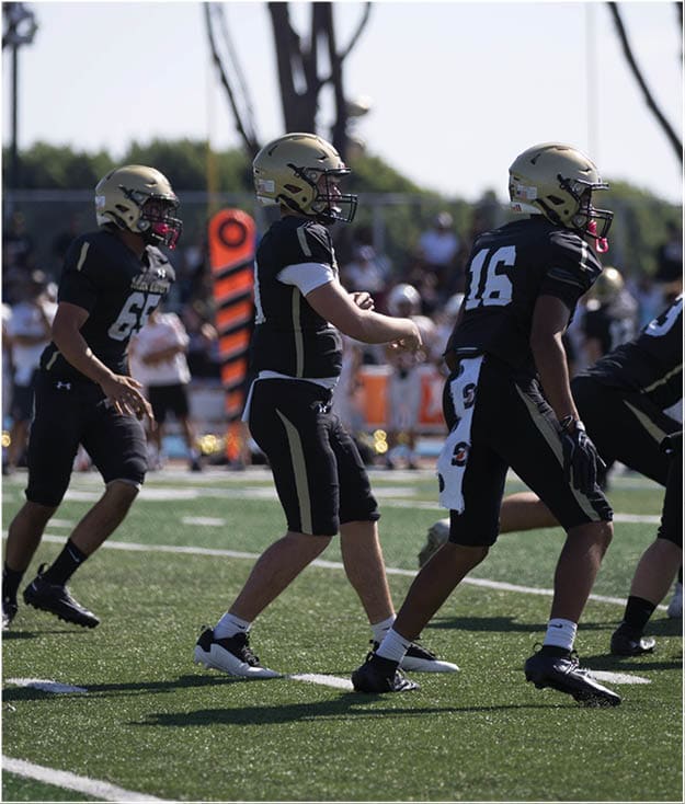 A group of football players on a field. Description generated by AI
