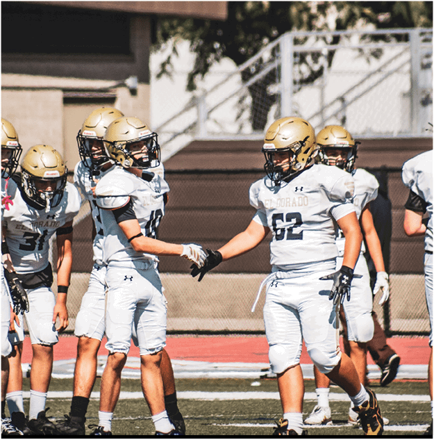 A group of football players celebrating a touchdown. Description generated by AI