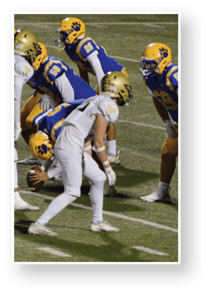 People in football uniforms are lined up on a field preparing for a play during a nighttime game. Description generated by AI
