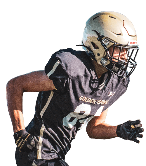 A person wearing a gold helmet and black football uniform is running on a field during a game. Description generated by AI