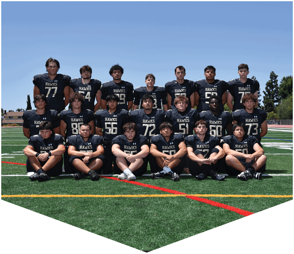 A group of people wearing black sports jerseys with the word “HAWKS" pose together on a green football field under a clear blue sky. Description generated by AI