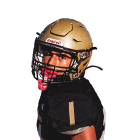 A person wearing a gold football helmet and black football uniform is looking over their shoulder. Description generated by AI