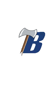 A blue and white logo for Valor. Description generated by AI