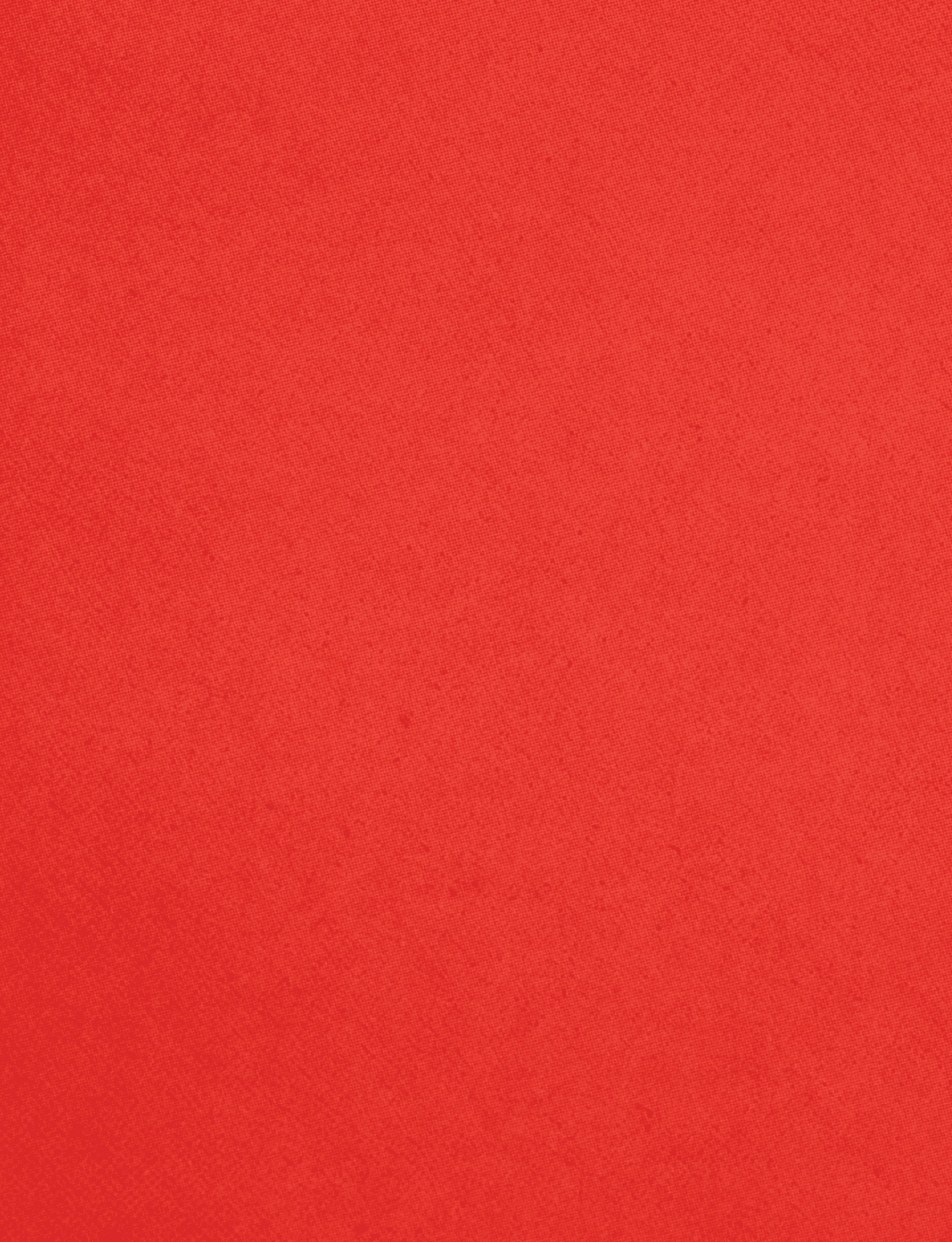 A red cloth with a red border. Description generated by AI