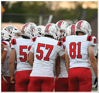 A group of football players celebrating a touchdown. Description generated by AI
