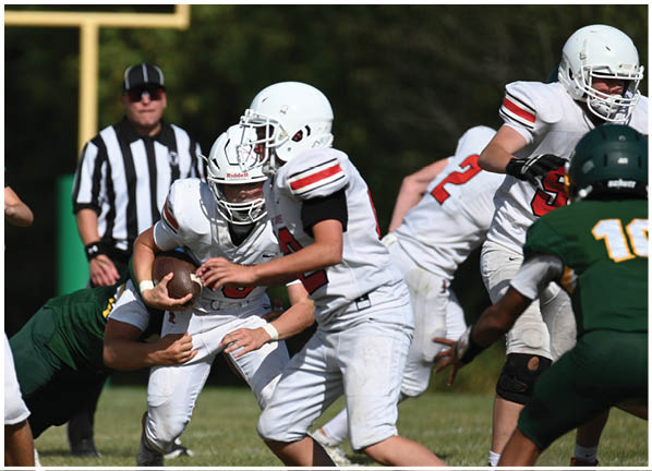 A football player running on the field. Description generated by AI